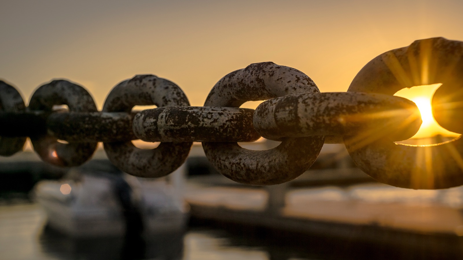 Les nouvelles opportunités des technologies Web3, Blockchain et NFT pour le Monde du Vin et des Grands Vins