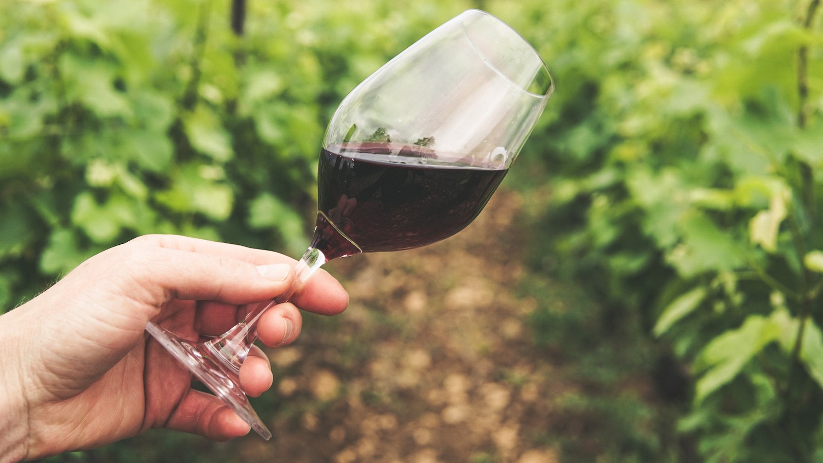 L'avenir de l'expérience client des vignerons et des marques de vin d'ici à 2030 se prépare maintenant