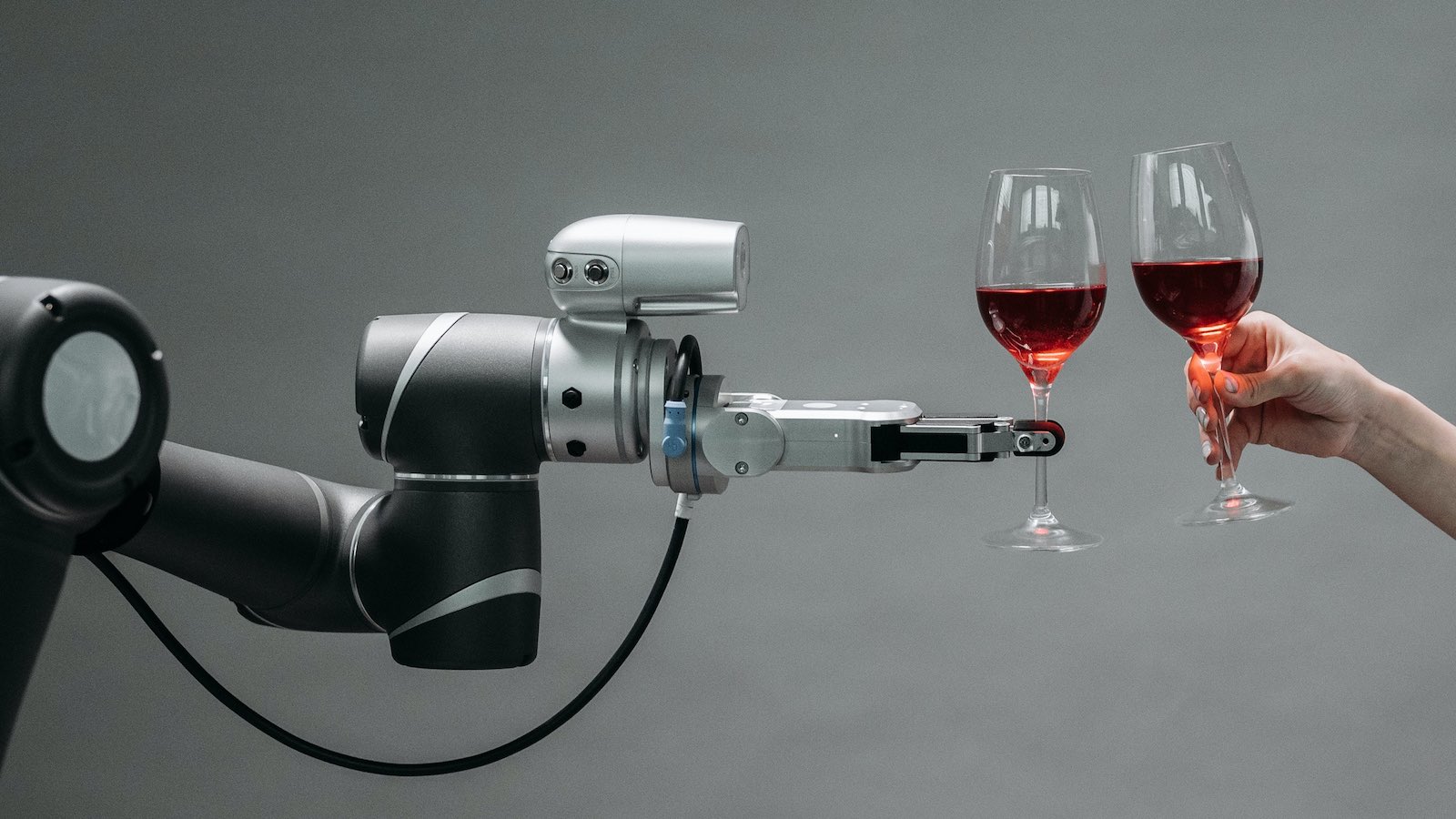 Comment l'intelligence artificielle (IA) va révolutionner le quotidien du vigneron et impacter la filière viticole